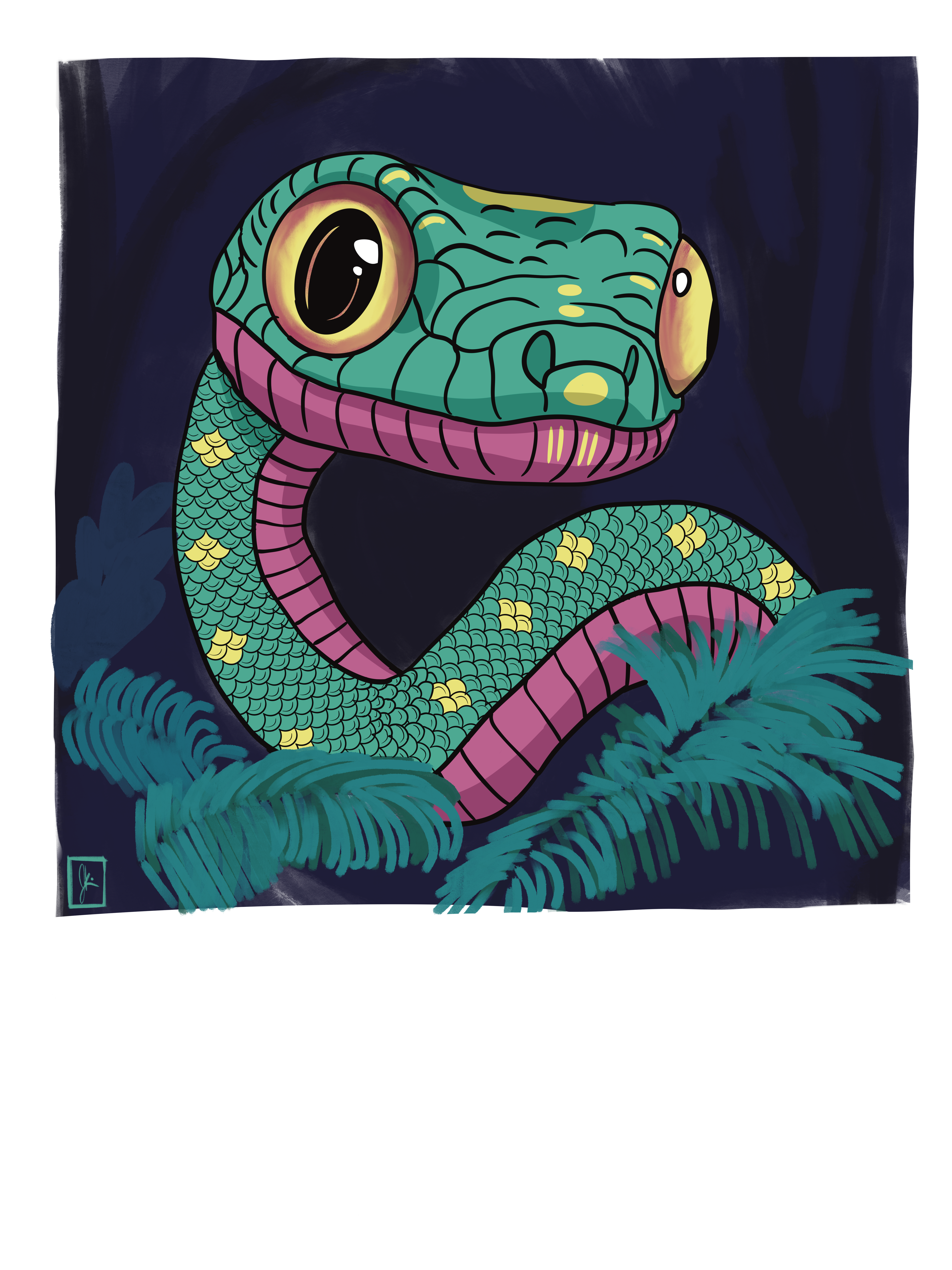 A stylized, cartoonish snake with large golden-yellow eyes coils playfully in a nighttime jungle scene. Its scales are a vibrant teal with yellow diamond patterns and a bold magenta underbelly. Lush, turquoise ferns frame the snake, while the dark navy background evokes a sense of nighttime mystery. The snake’s expression is curious and wide-eyed, giving it a friendly and whimsical feel.